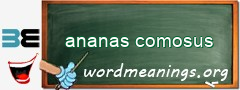 WordMeaning blackboard for ananas comosus